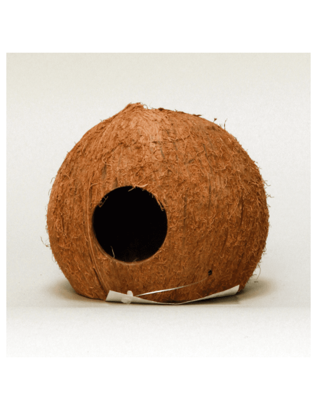 Cocos Cava 3/4  JBL JBL - 1
