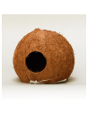 Cocos Cava 3/4  JBL JBL - 1