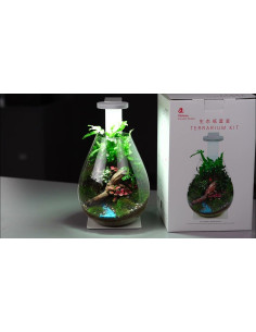 Complete Wabi Kusa set Chihiros Aquatic - 1