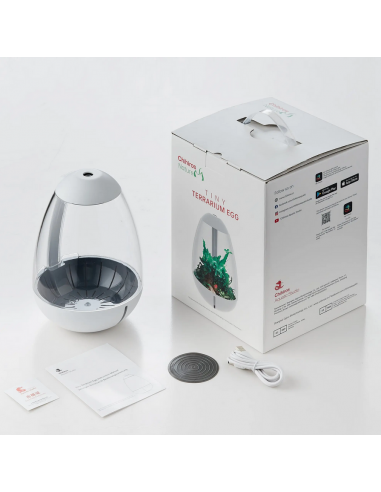Chihiros Tiny Terrarium Egg Chihiros Aquatic - 3
