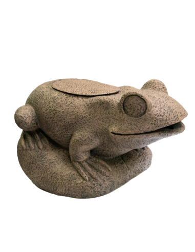 Superfish Filtre grenouille SuperFish - 2