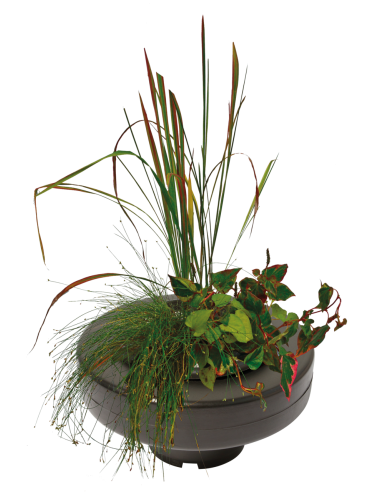 Panier Plante Flottant Ø 30cm SuperFish - 1