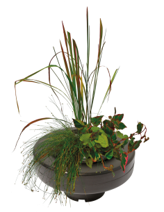 Panier Plante Flottant Ø 22cm SuperFish - 1