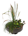 Panier Plante Flottant Ø 22cm SuperFish - 1