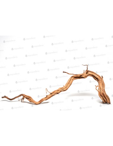 Racine Curl Wood M 60 À 80cm 1p AQUA DECO - 2