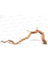 Racine Curl Wood M 60 À 80cm 1p AQUA DECO - 2