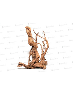 Racine Curl Wood M 60 À 80cm 1p AQUA DECO - 3