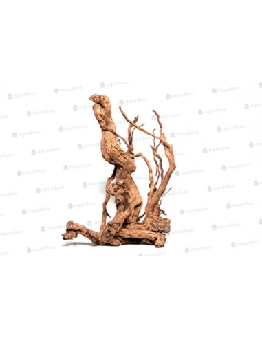 Racine Curl Wood M 60 À 80cm 1p AQUA DECO - 3