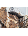 Elderly Nano Rock 2Kg WIO - 2