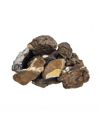 Elderly Nano Rock 2Kg WIO - 4
