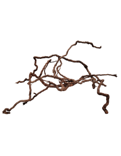 Wio Elder Root Mix 10-30cm 300g WIO - 2