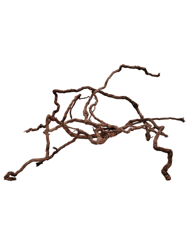 Wio Elder Root Mix 10-30cm 300g WIO - 2