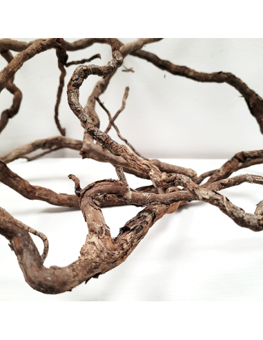 Wio Elder Root Mix 10-30cm 300g WIO - 3