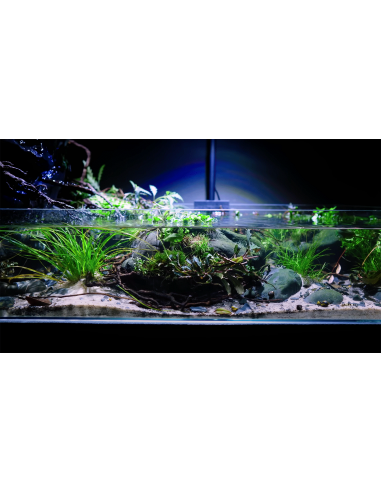 WIO Aquagrow Insula Pad WIO - 8