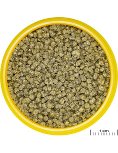 JBL ProNovo shrimps S Grano 100ml JBL - 2