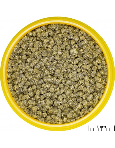JBL ProNovo shrimps S Grano 100ml JBL - 2