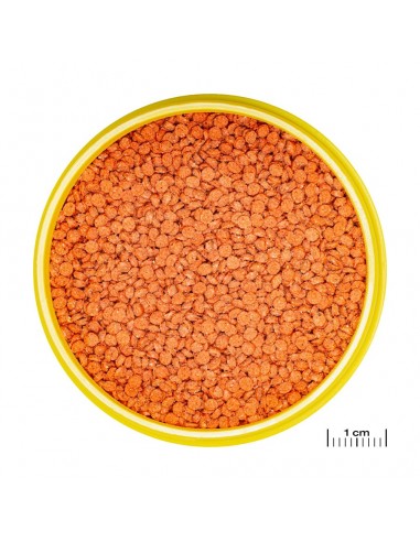 JBL PRONOVO BITS S JBL - 2