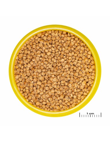 JBL Pronovo Cichlid M JBL - 1
