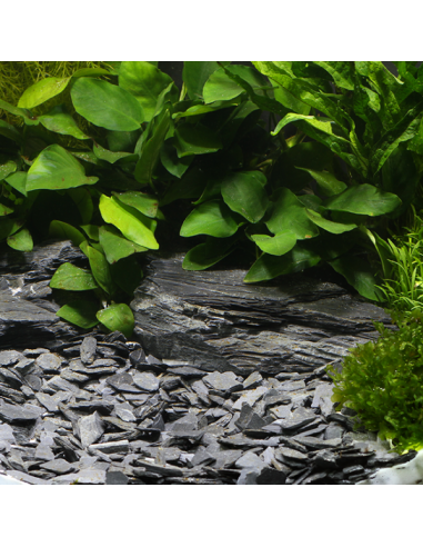 Dennerle Natural Gravel Kongo, 10-30 Mm, 2,5 Kg Dennerle - 1