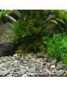 Dennerle Natural Gravel Rio Xingu, 2-22 Mm, 500 Gr Dennerle - 1