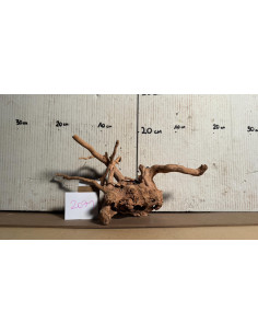 Racine Spiderwood 2071 AquaBota - 1