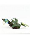 Driftwood (petit) avec anubias  - 1