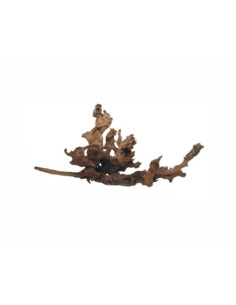 Wabi Kusa Drift Wood 5-12 Cm Per 2 St MyWabiKusa - 1