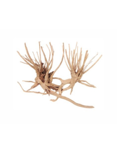 Wabi Kusa Slim Wood 7-18 Cm Per 2 St. MyWabiKusa - 1