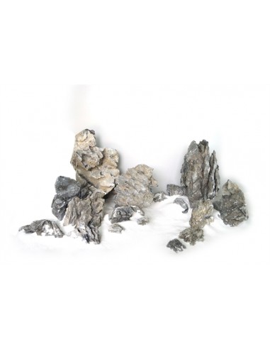 Wabi Kusa Mini Landscape Xs 5-12 Cm 1 Kg MyWabiKusa - 1