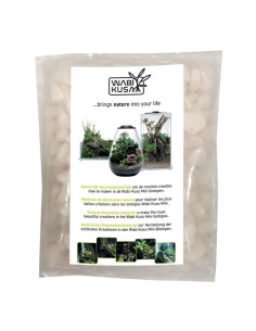 Wabi Kusa White Pebbles 1-3 Cm 1 Kg MyWabiKusa - 1