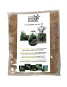 Wabi Kusa Moss 1000 Ml MyWabiKusa - 1