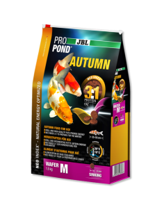 Propond Autumn M JBL JBL - 1