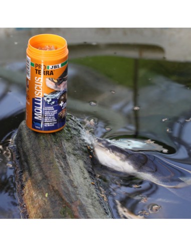 JBL PROTERRA MOLLUSCUS 1000ml JBL - 1