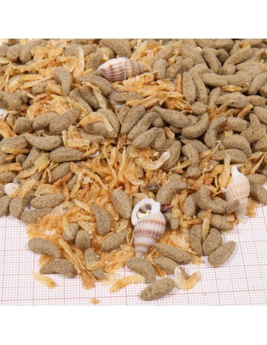 JBL PROTERRA MOLLUSCUS 1000ml JBL - 2