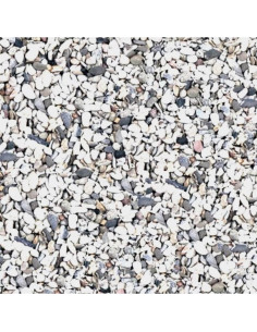 Scalare gravier gros clair 10kg SCALARE - 3
