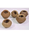 Sapucainha pod  14-18 cm AquaBota - 1