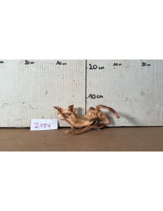 Racine Spiderwood 2154 AquaBota - 1