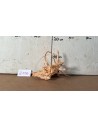 Racine Spiderwood 2156 AquaBota - 1