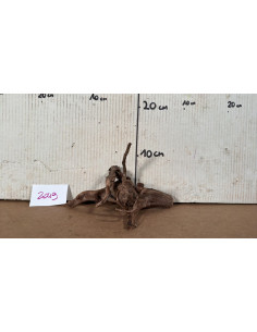 AQUABOTA Dark Moor Wood S 2049 - Aquabota.com