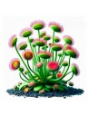 Drosera prolifera Aqua art - 1