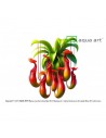 Nepenthes macfarlanei Aqua art - 2