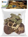Superfish - Biotope Set Asia SuperFish - 1