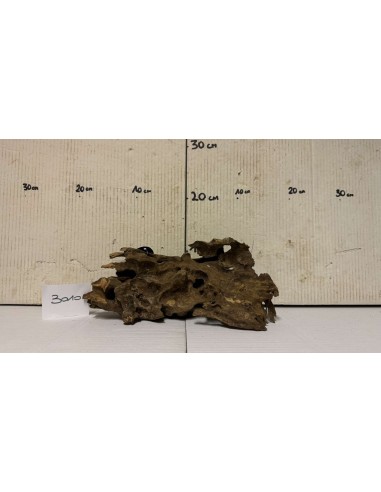 AQUABOTA Racine Honey Comb 3010 - Aquabota.com