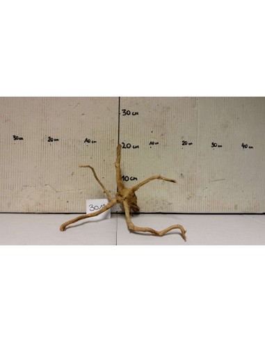 AQUABOTA Racine Spiderwood 3018 - Aquabota.com