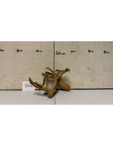 AQUABOTA Racine Spiderwood 3040 - Aquabota.com