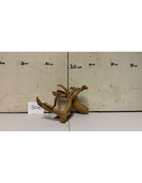 AQUABOTA Racine Spiderwood 3040 - Aquabota.com