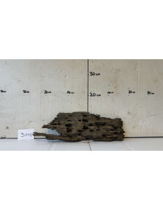 Racin Honey Comb 3115 AquaBota - 1