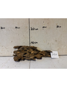 AQUABOTA Racine Honey Comb 3131 - Aquabota.com