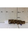 AQUABOTA Racine Honey Comb 3309 - Aquabota.com