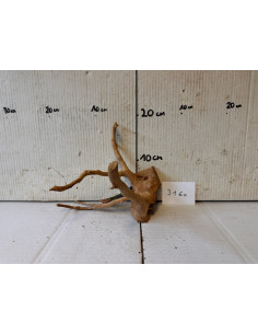 AQUABOTA Racine Spiderwood 3160 - Aquabota.com